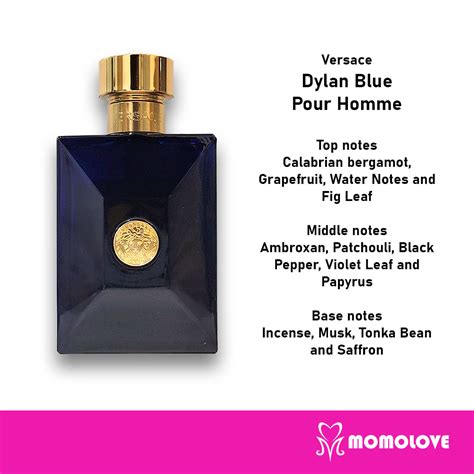 versace dylan blue top notes.